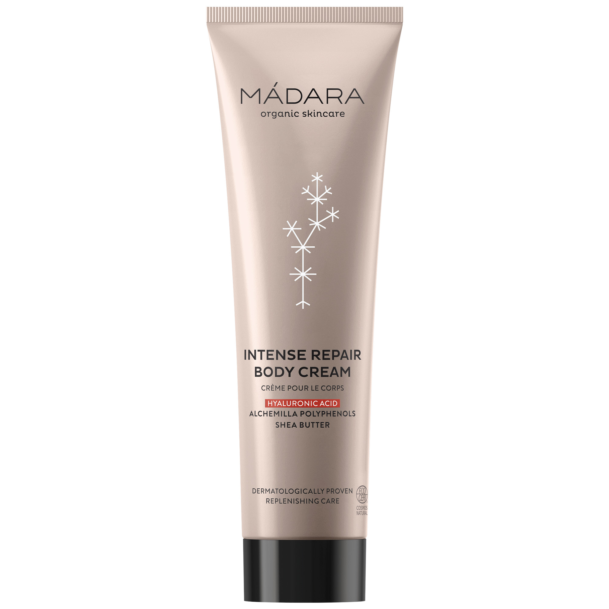INTENSE Repair Körpercreme